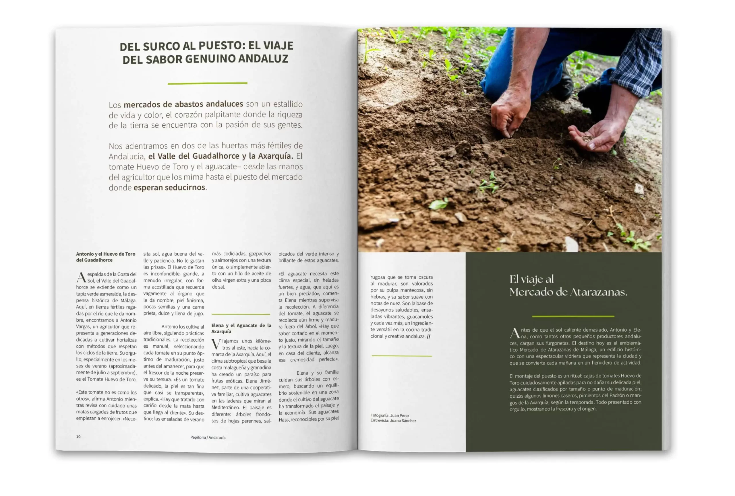 Revista Pepitoria interior de la revista.