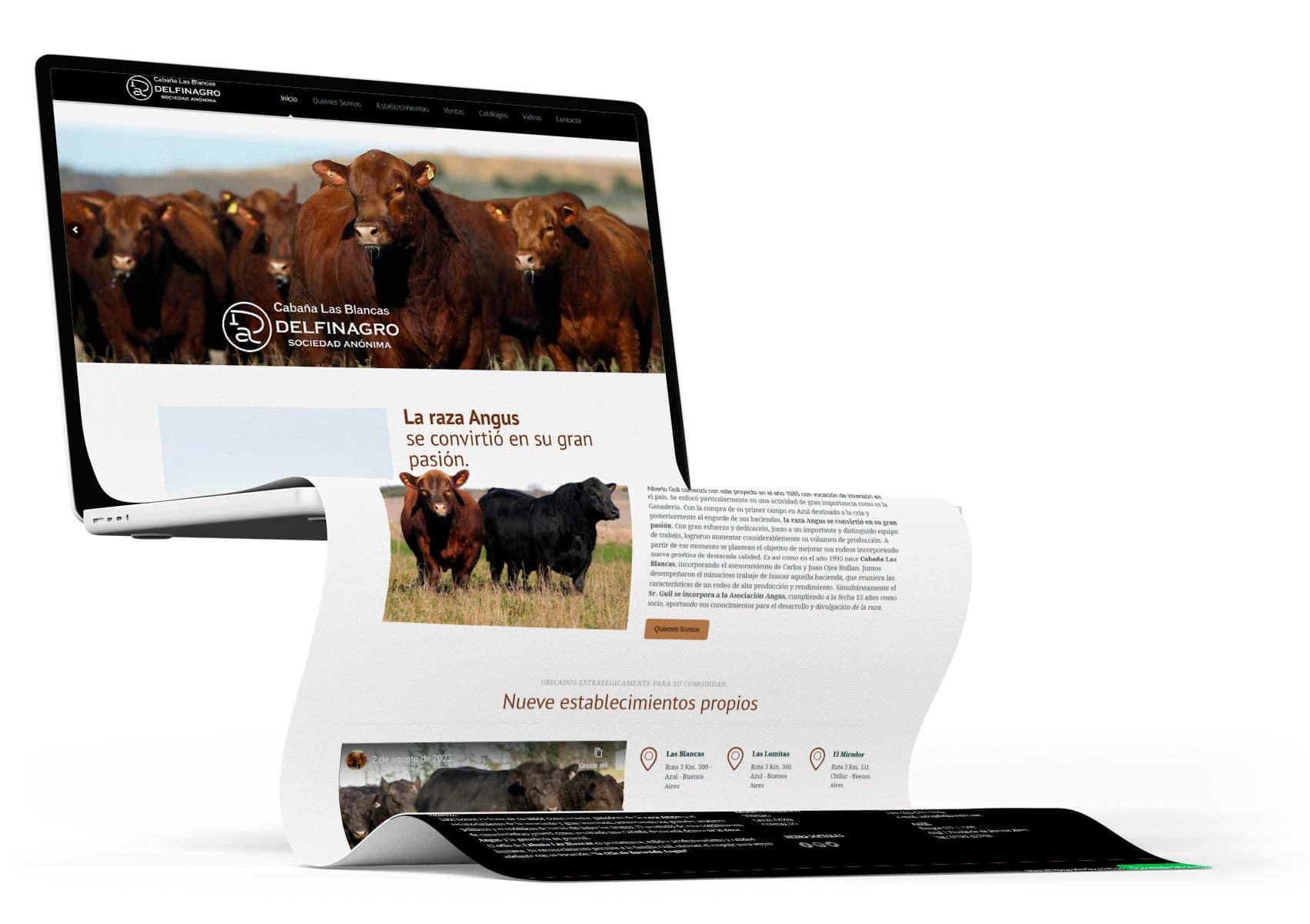 Diseño Web a Medida para Delfinagro